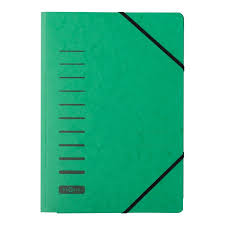 Durable Pagna Elastic Folder Green Pack Of 25