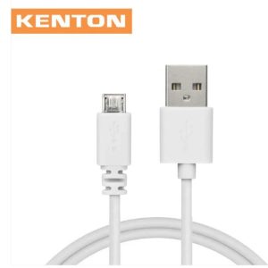 USB to Micro Cable (1 m)